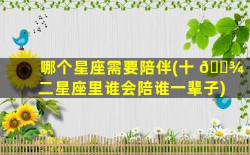 哪个星座需要陪伴(十 🌾 二星座里谁会陪谁一辈子)